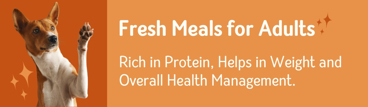 Fresh Meals Adult