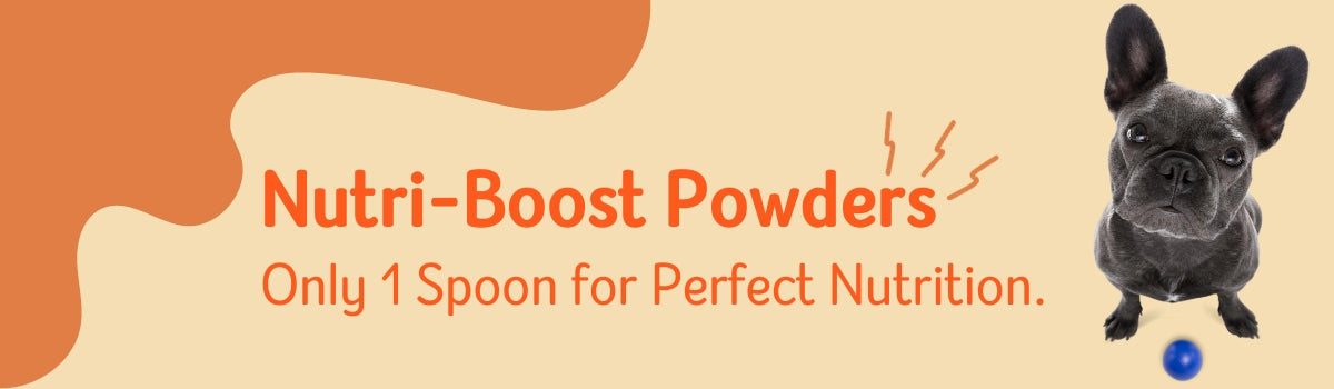 Nutri Boost Powder