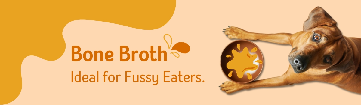 Bone Broth