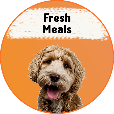 All Meals