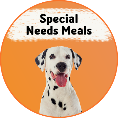 Special Need Meals