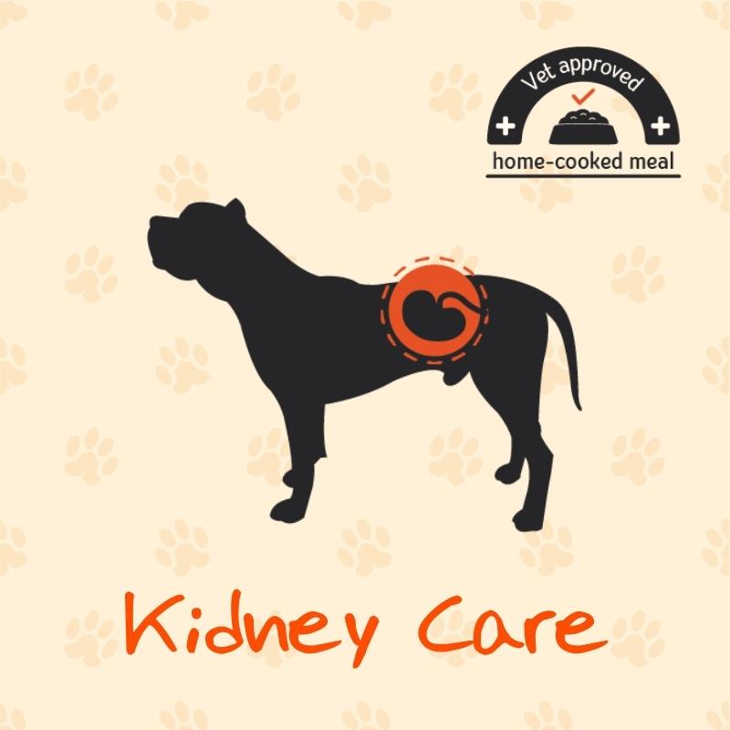 Kidney Care | Low Protein