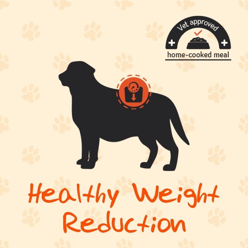 Weight Reduction | Low Calorie